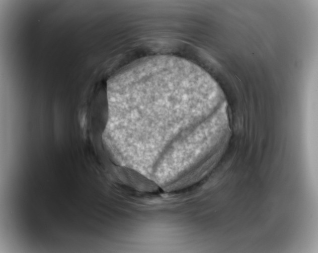 X0000088061108200706081644