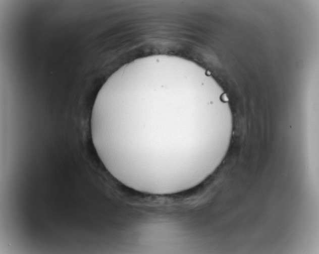 X0000088061109200706081644