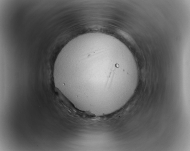X0000088061111200706081644
