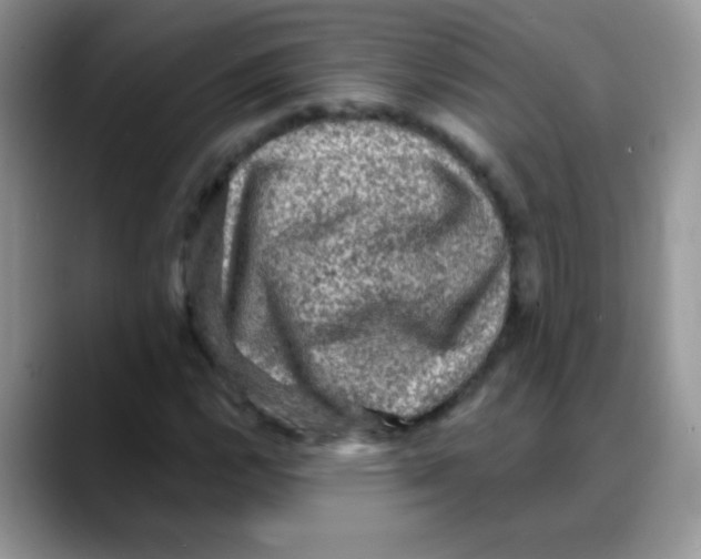 X0000088061112200706081644
