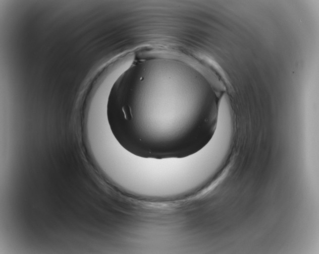 X0000088061114200706081644