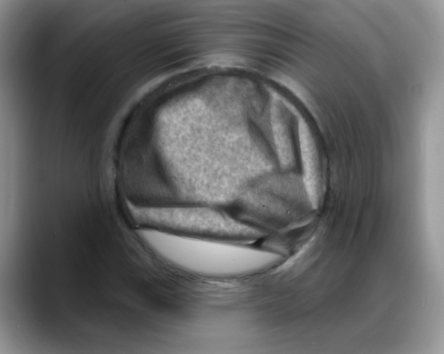 X0000088061115200706081644