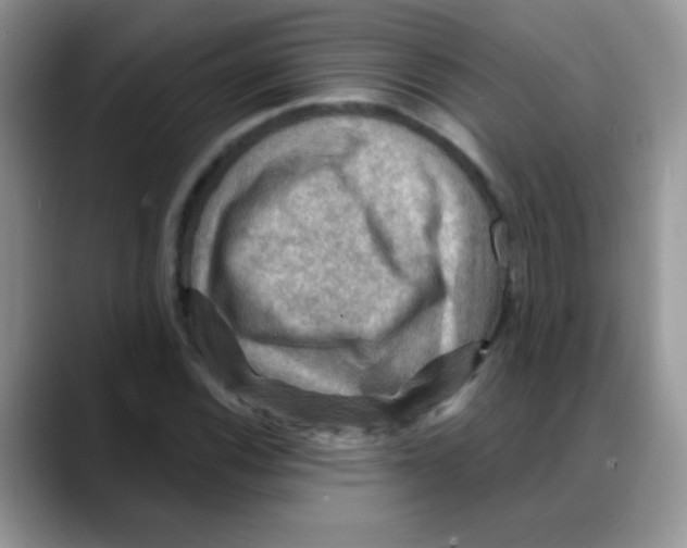 X0000088061116200706081644
