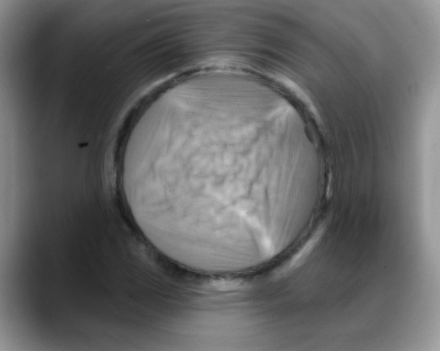 X0000088061117200706081644