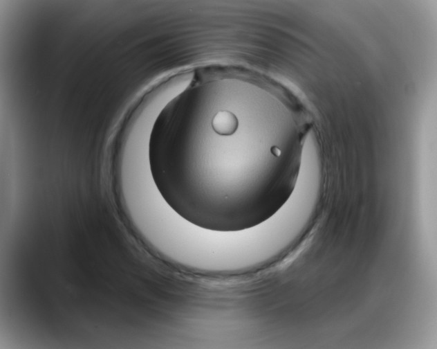 X0000088061118200706081644