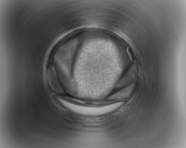 X0000088061120200706081644