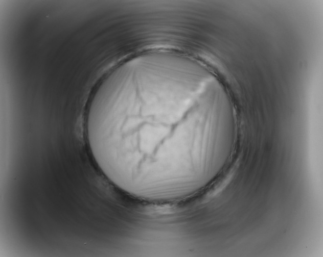 X0000088061121200706081644