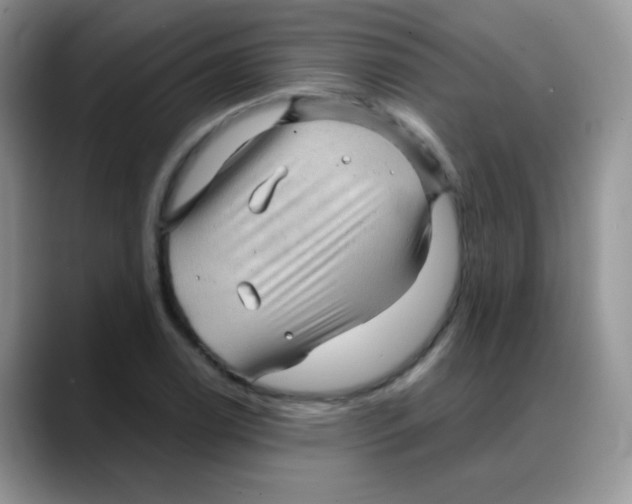 X0000088061122200706081644
