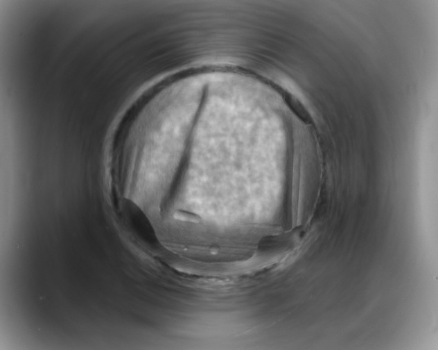X0000088061124200706081644