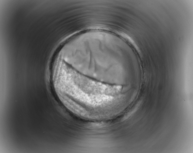 X0000088061125200706081644