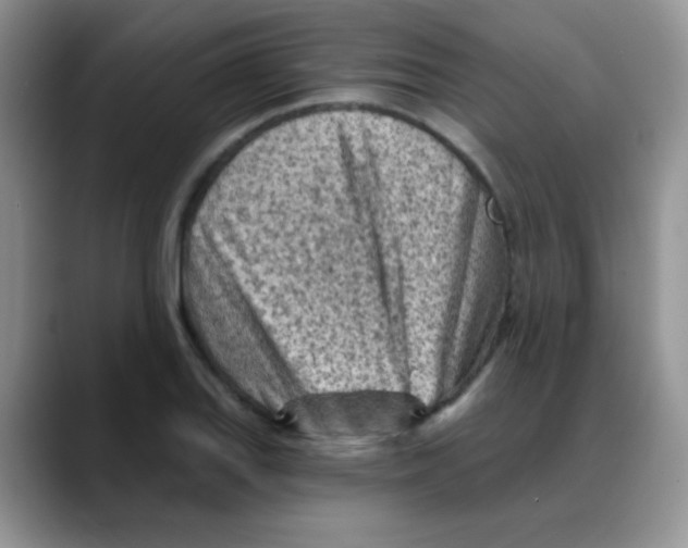 X0000088061127200706081644