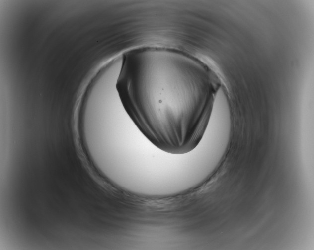 X0000088061128200706081644