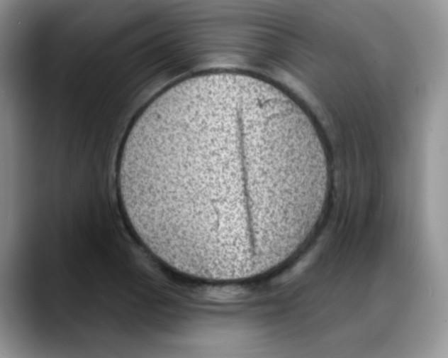 X0000088061129200706081644
