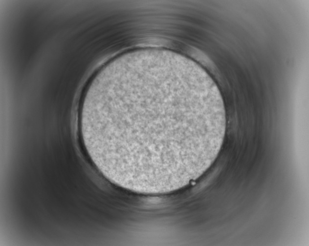 X0000088061130200706081644