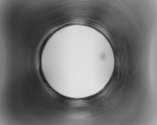 X0000088061131200706081644