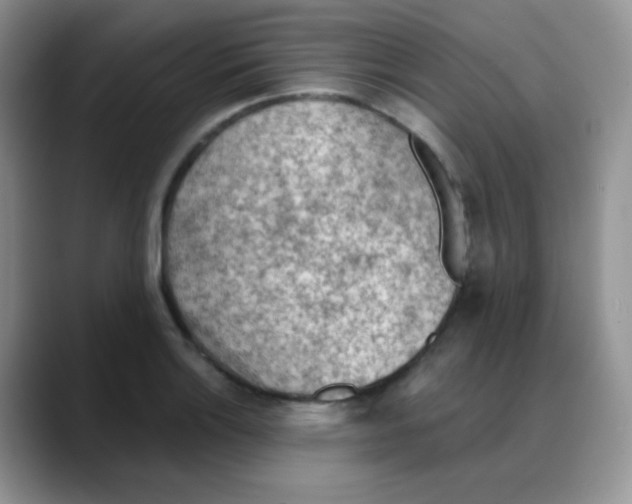 X0000088061132200706081644