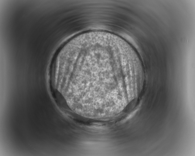 X0000088061133200706081644