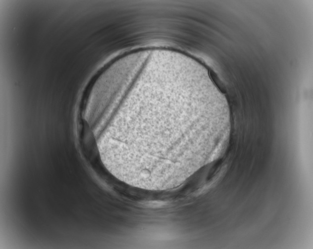 X0000088061134200706081644