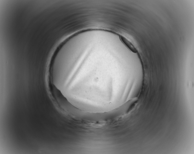 X0000088061136200706081644