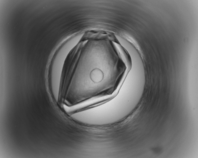 X0000088061138200706081644