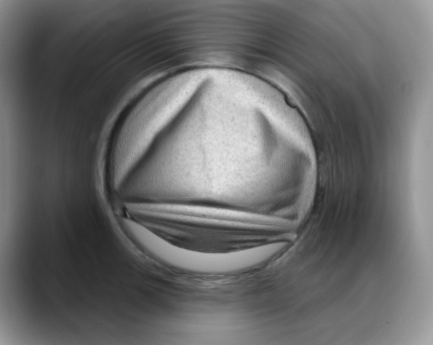 X0000088061139200706081644