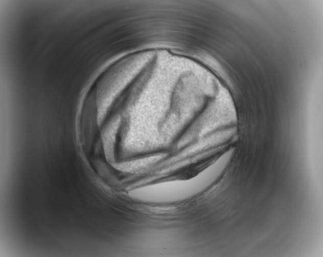 X0000088061140200706081644