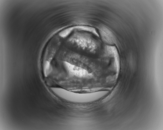 X0000088061141200706081644