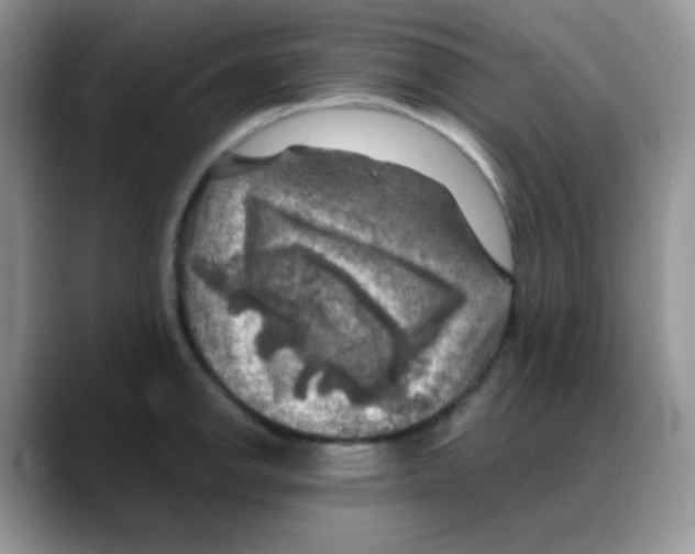 X0000088061142200706081644
