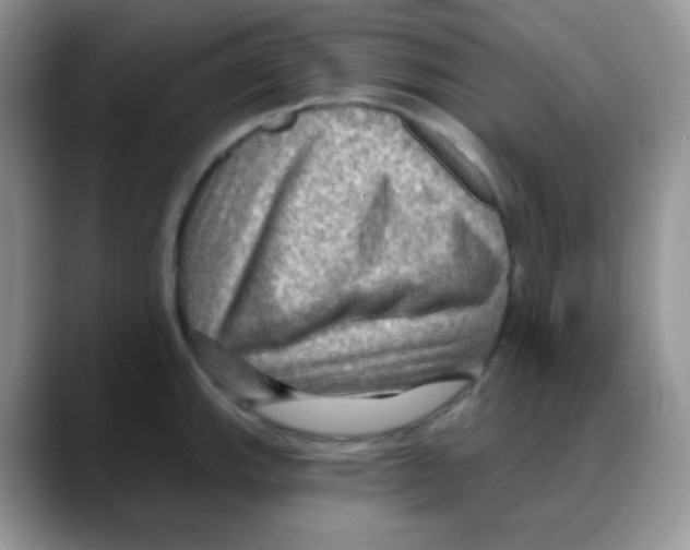 X0000088061143200706081644