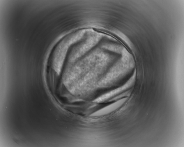 X0000088061144200706081644
