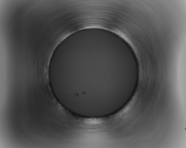 X0000088061145200706081644