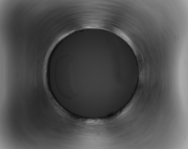 X0000088061146200706081644