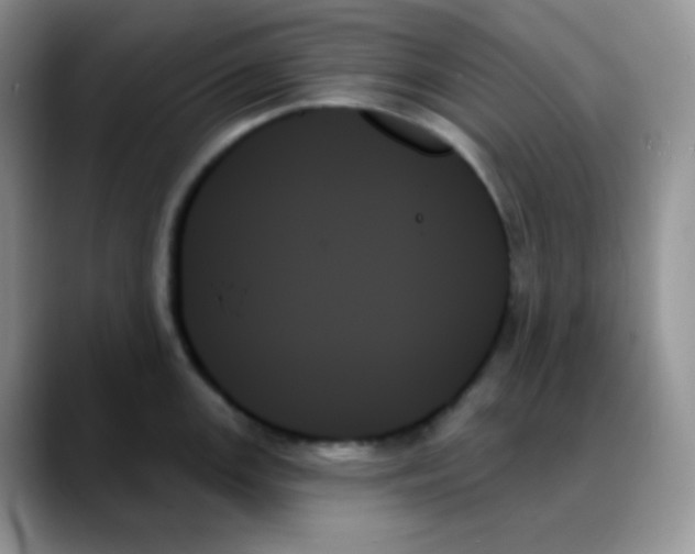 X0000088061147200706081644