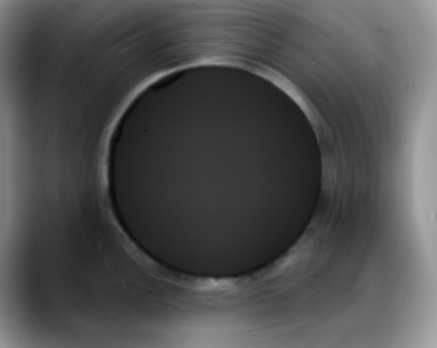 X0000088061148200706081644