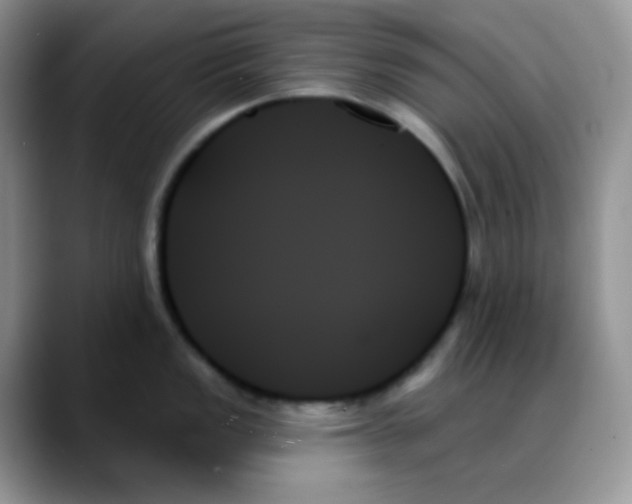 X0000088061149200706081644