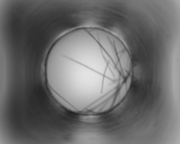 X0000088061150200706081644