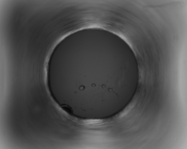 X0000088061151200706081644