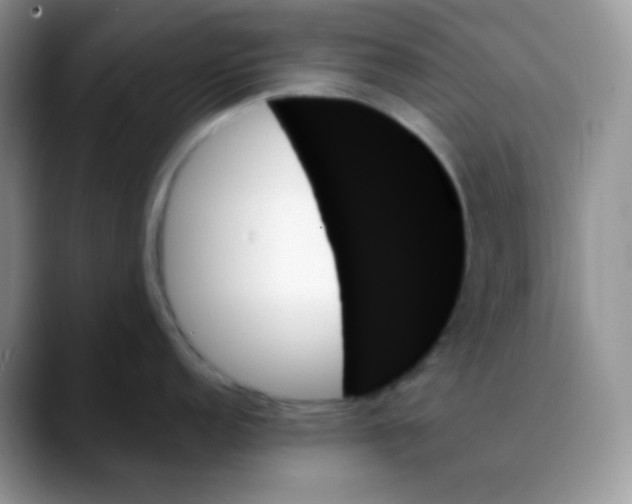 X0000088061152200706081644
