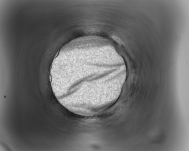 X0000088061153200706081644