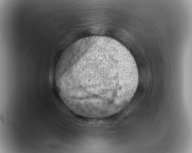 X0000088061154200706081644