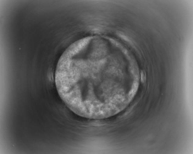 X0000088061155200706081644