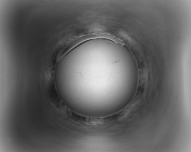 X0000088061157200706081644