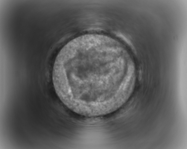 X0000088061159200706081644
