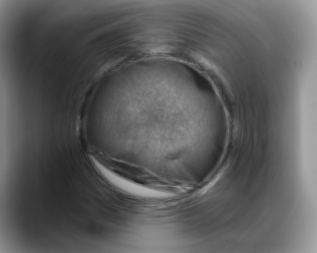 X0000088061161200706081644
