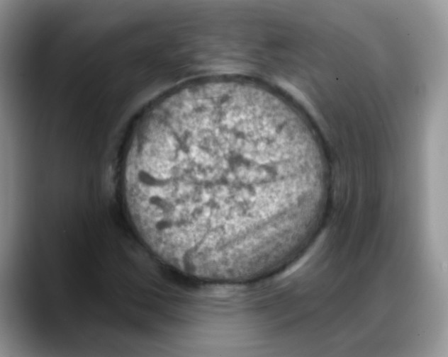 X0000088061163200706081643