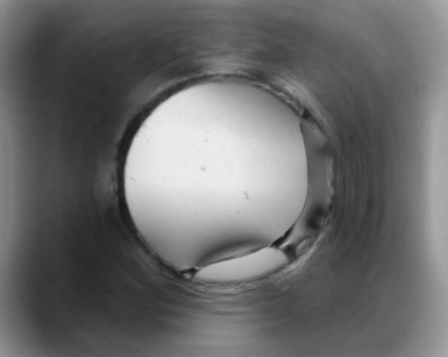 X0000088061164200706081643