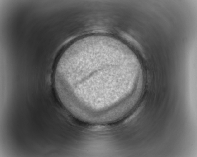 X0000088061166200706081643
