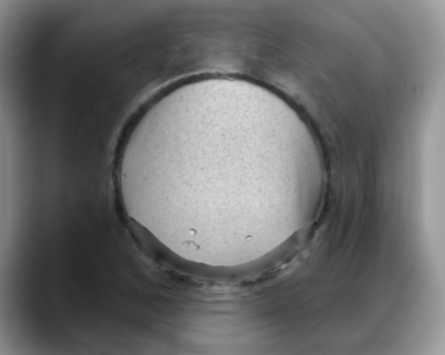 X0000088061168200706081643