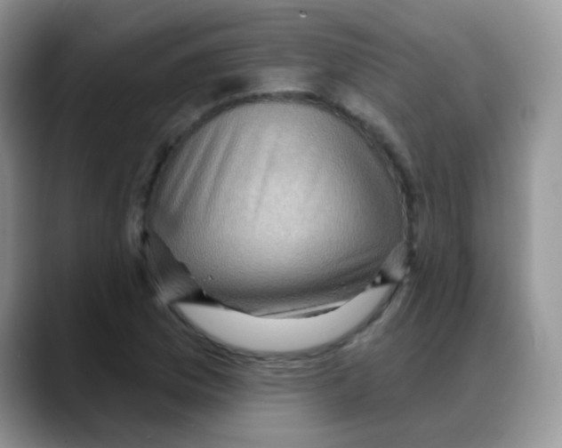 X0000088061169200706081643
