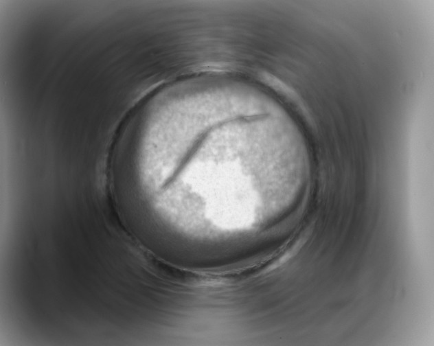 X0000088061170200706081643